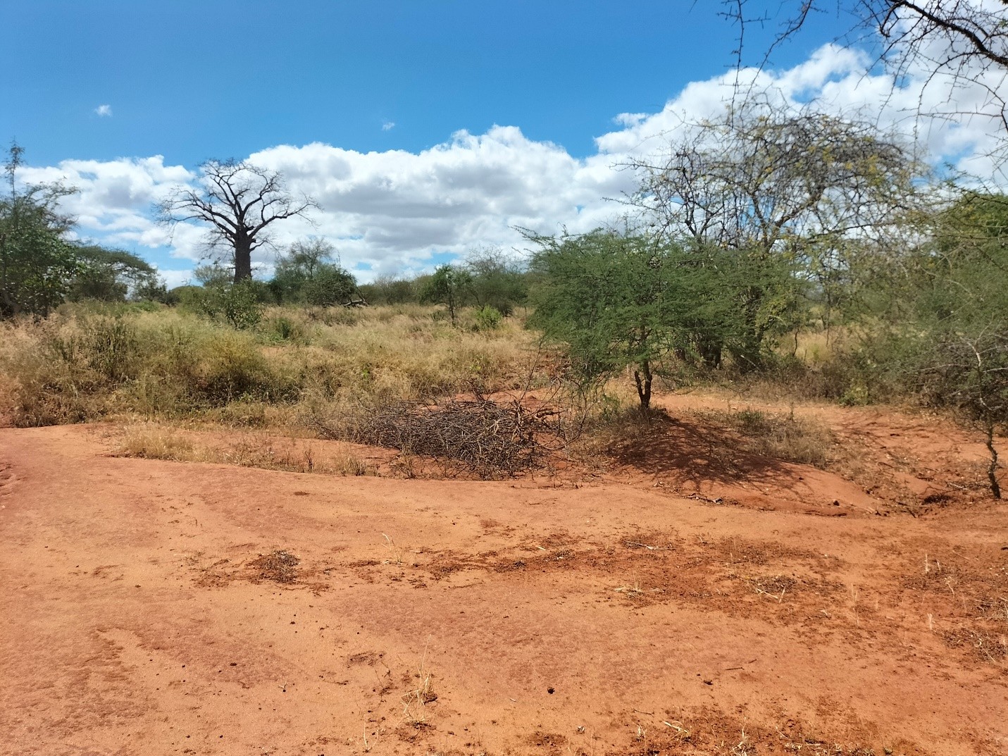 Environmental fieldwork